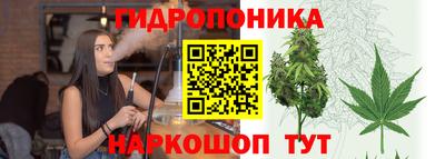 дмт Шахты